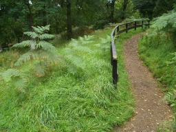 Image on trail